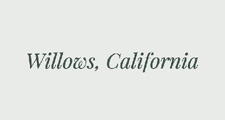 Willows, California Logo
