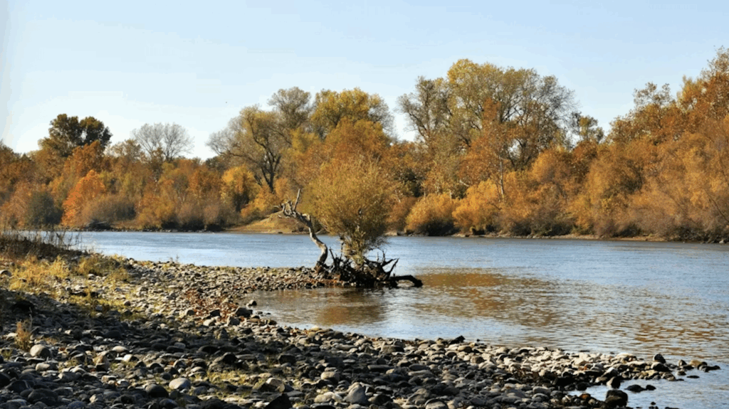 Sacramento-river-area-beach